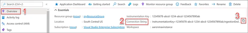 Application Insights resource connection string