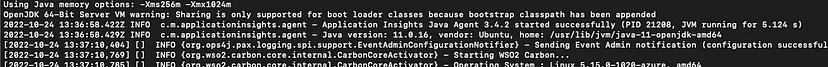 Application Insights Java Agent logs