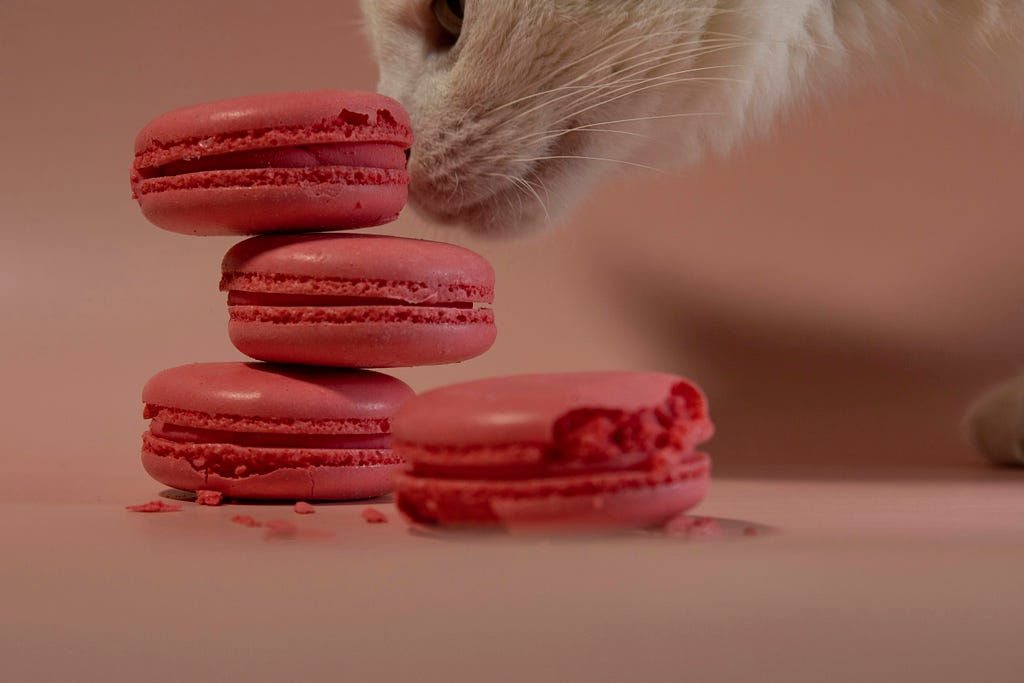 Photo by Maria Baranova on Unsplash