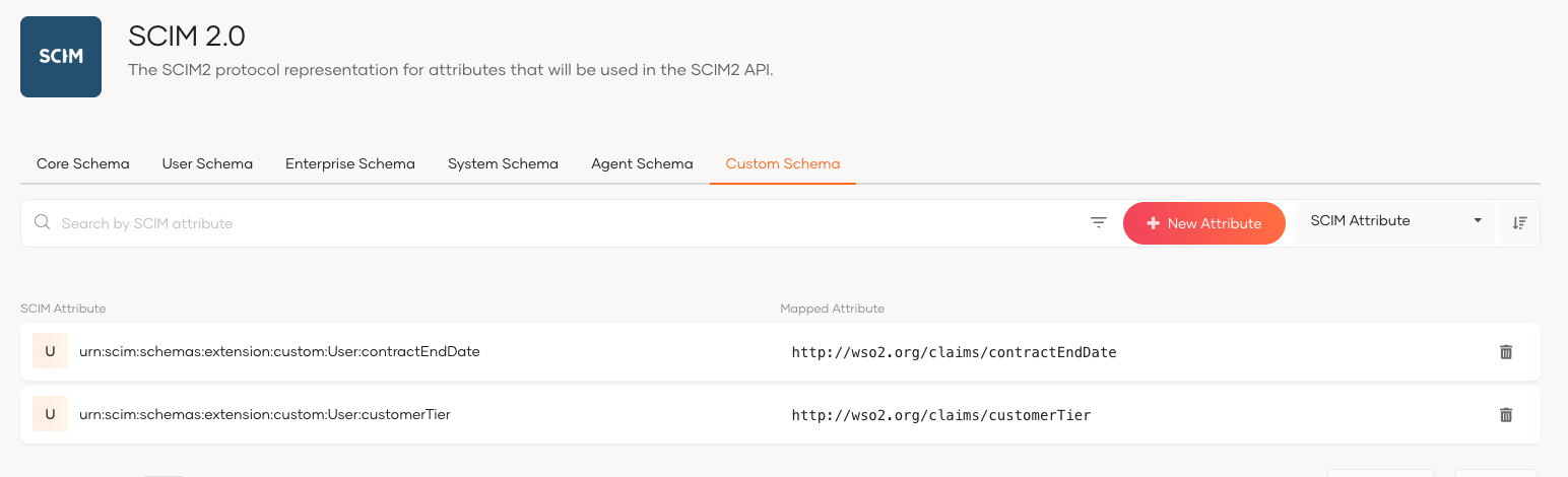 Custom schema attributes